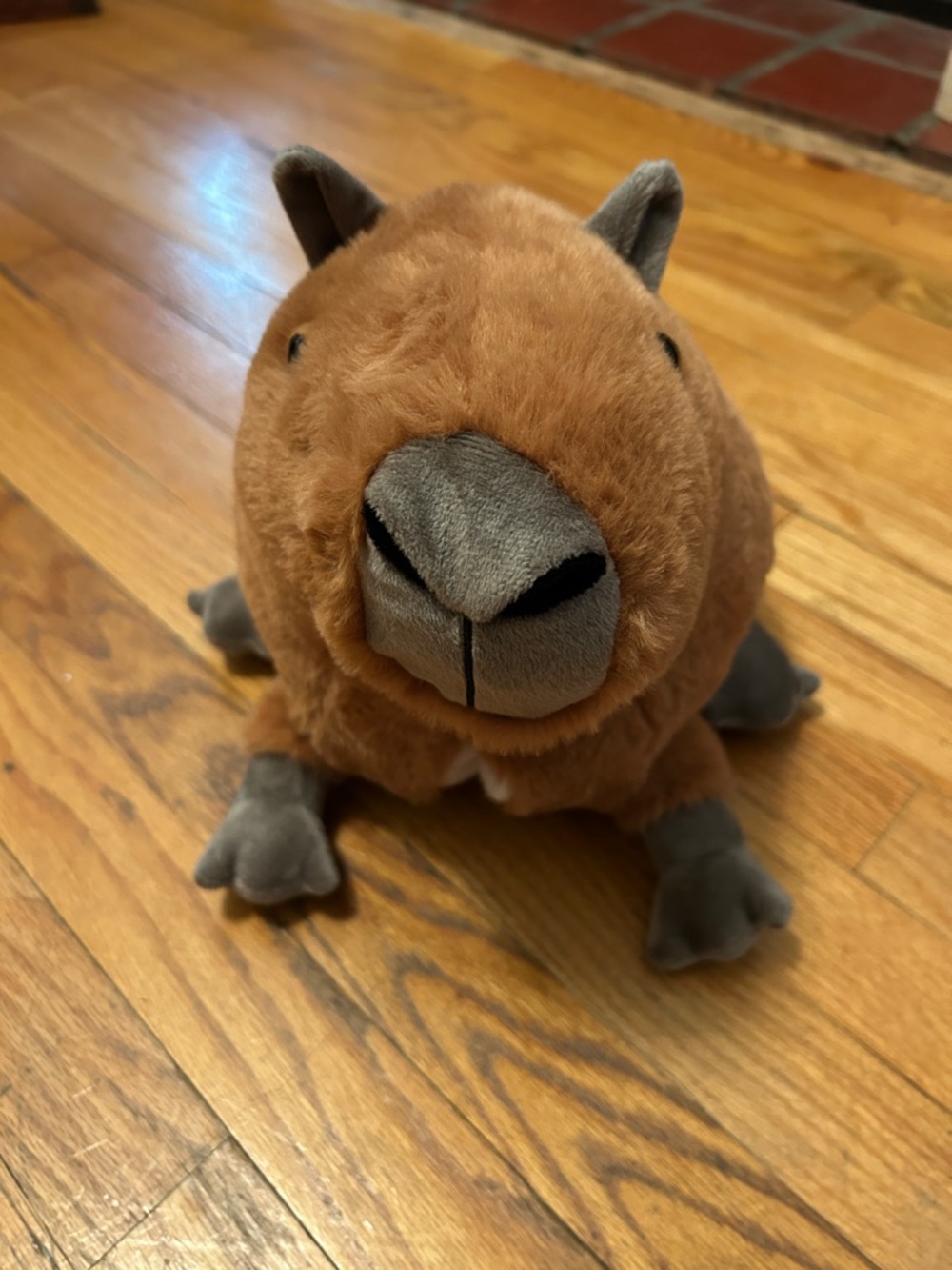 Sundays Cozy Warmer Plush Capybara Stuffed Animal - Brown & Gray
